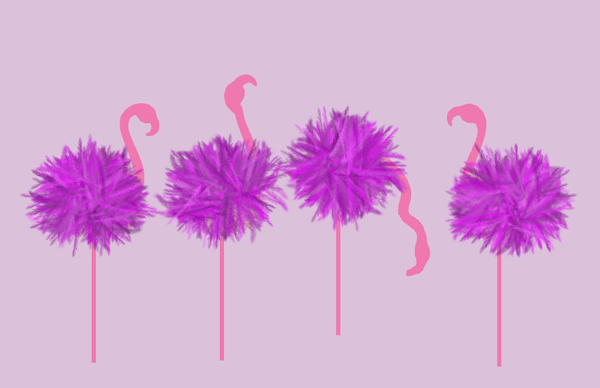 Four drawn flamingos on a pink background